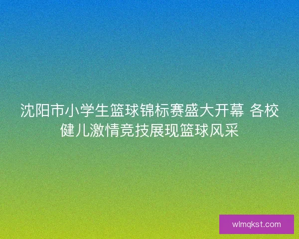 沈阳市小学生篮球锦标赛盛大开幕 各校健儿激情竞技展现篮球风采